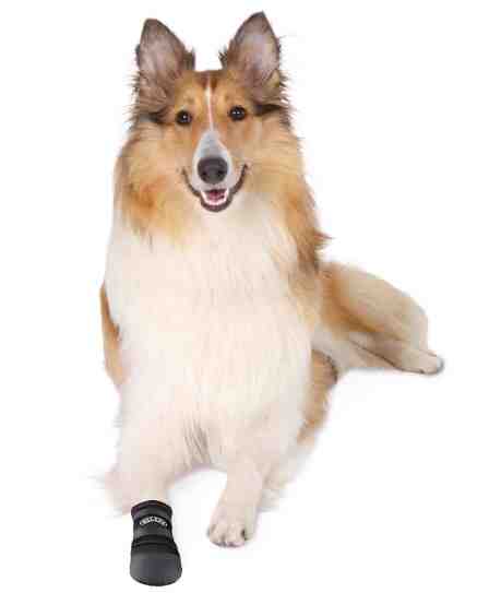 2 Botas protec. neopreno,perros Walker Care, M, ne